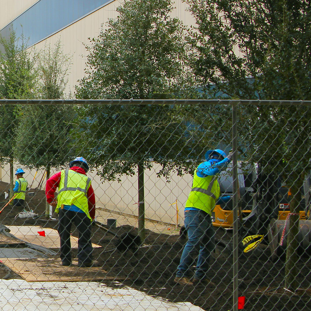 Work crews planting trees between two buildings.