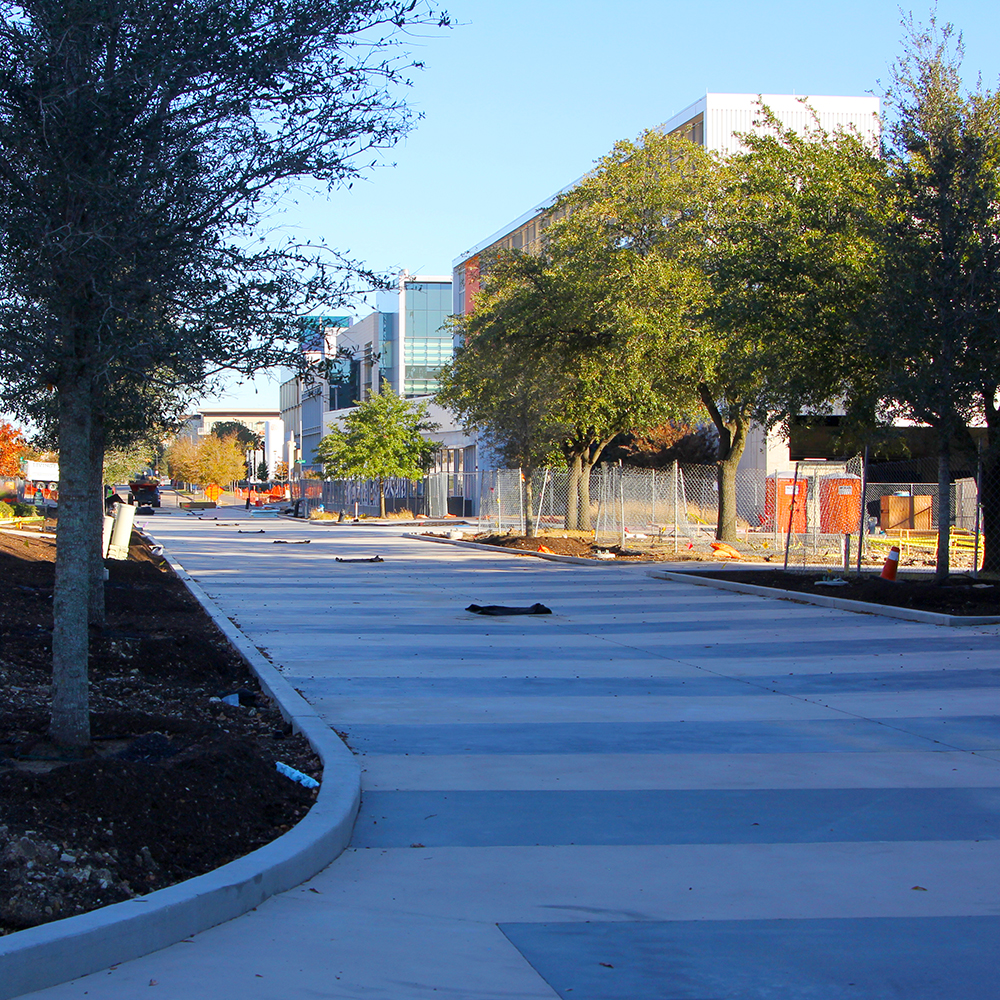 A two-tone sidewalk bordered by new tree plantings.