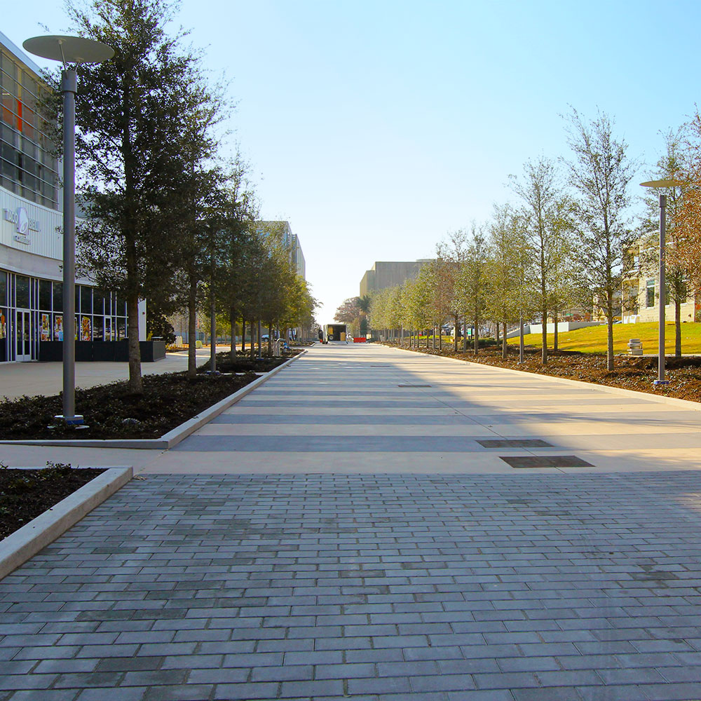 A broad, tree-lined sidewalk in alternating dark and light stripes cuts through a college campus, extending towards the horizon.