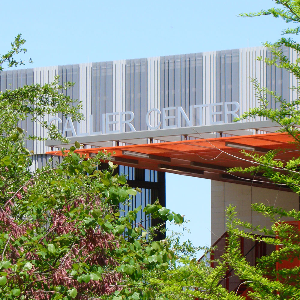 The modern metal-mesh facade of a building which reads “Callier Center” as seen through an opening in the trees.