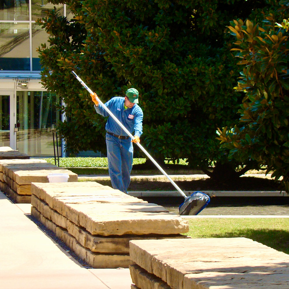 A groundskeeper skims a pool of water with a net on the end of a pole.