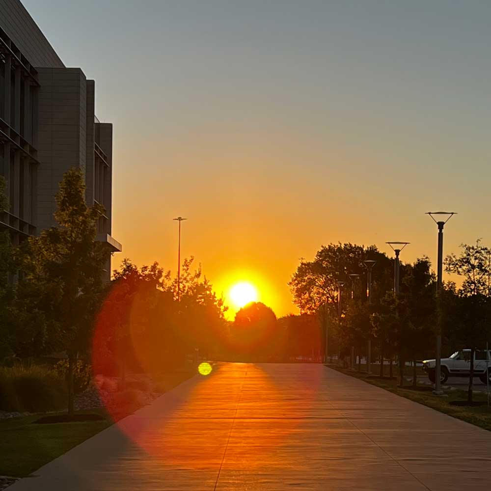 The sun rises over the tree tops to bathe a campus sidewalk and a modern glass building in golden light.