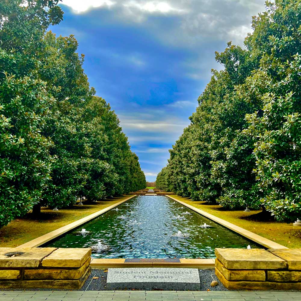 Rectangular pools receeding into the distance, flanked by rows of magnolia trees, reflecting a dramatically cloudy sky.