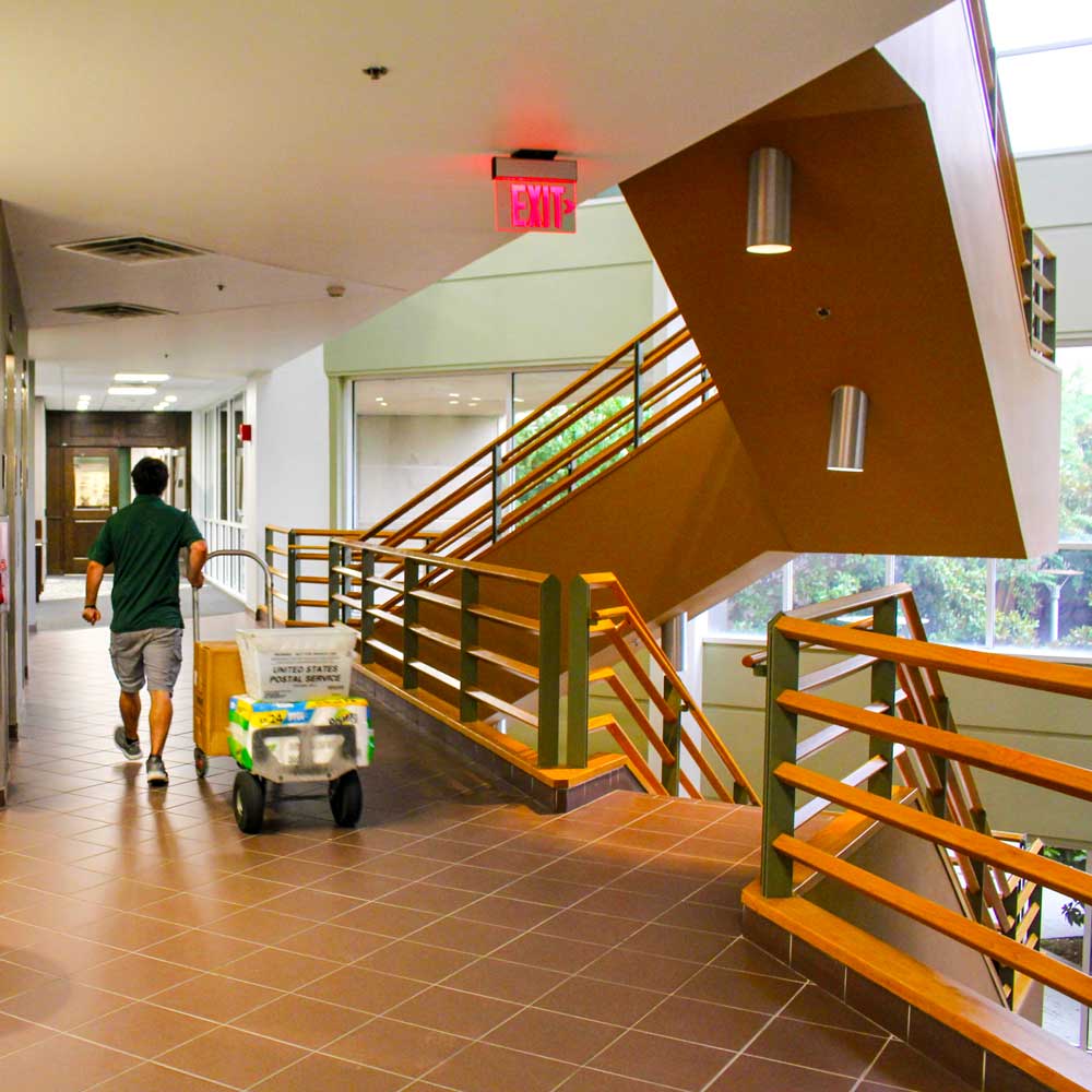 A mail carrier pulls a loaded cart behind him through the elevator and stairway lobby of a building, illuminted by both hallway lamps and the morning light that comes in through the stairwell windows.