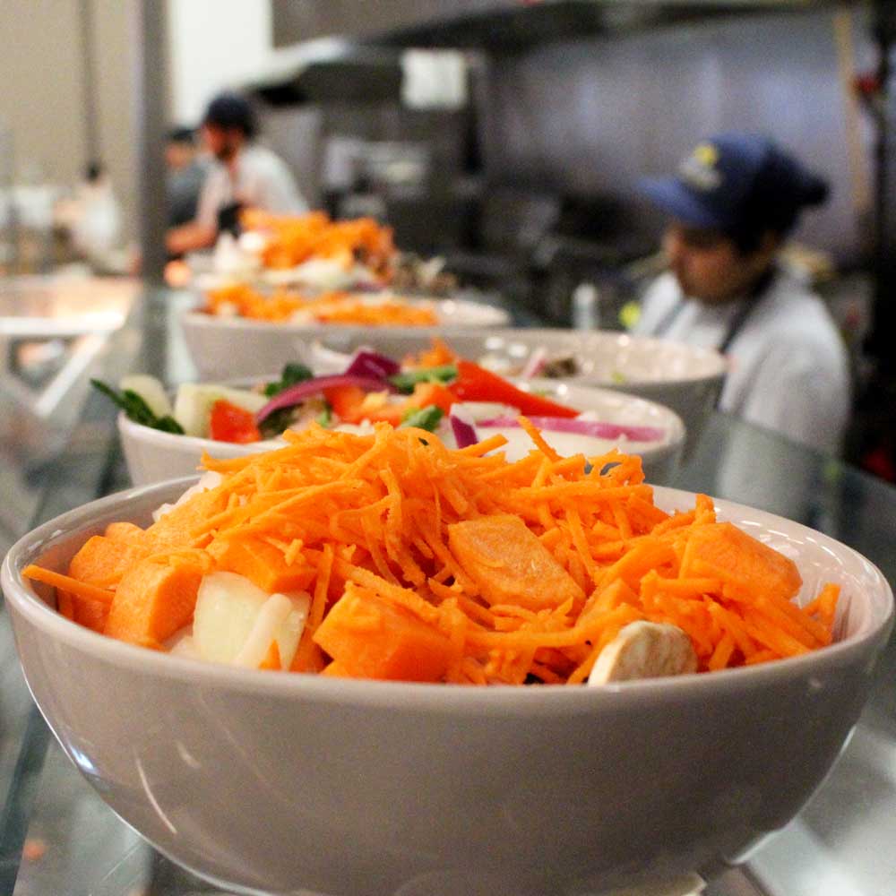 A row of freshly-prepared bowls of food lined up on a counter in the Dining Hall West.