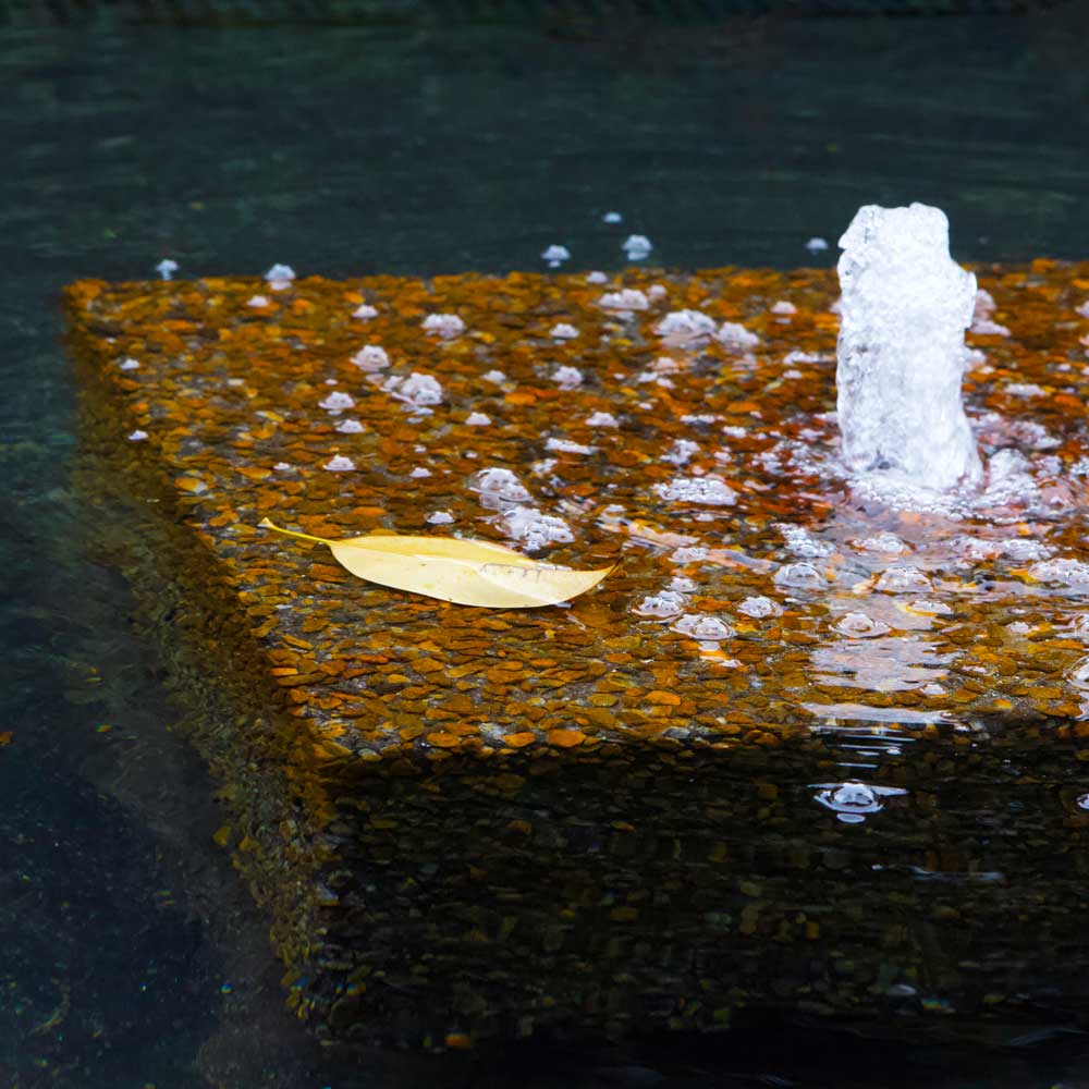 A lone yellowed leaf from a magnolia tree floats atop a blocky, pebble-covered fountain that spreads bubbles out into the dark waters of a reflecting pool.