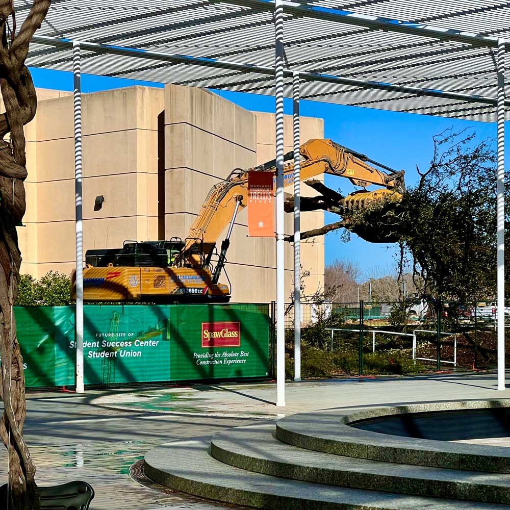 A construction excavator pulls up trees behind the fence of a construction site, as seen from a trellis-covered plaza.