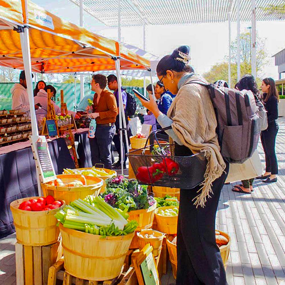 A women contemplates baskets of fresh vegetables, while behind her, students line up in front of a tent to purchase fruits and flowers.
