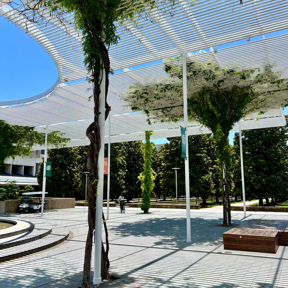 A bicyclist weaves between the thin white pillars that hold a massive metal trellis above a plaza. Woody vines climb up several pillars to branch out into conical, leafy masses at their tops, then spread across the trellis to shade the plaza below.