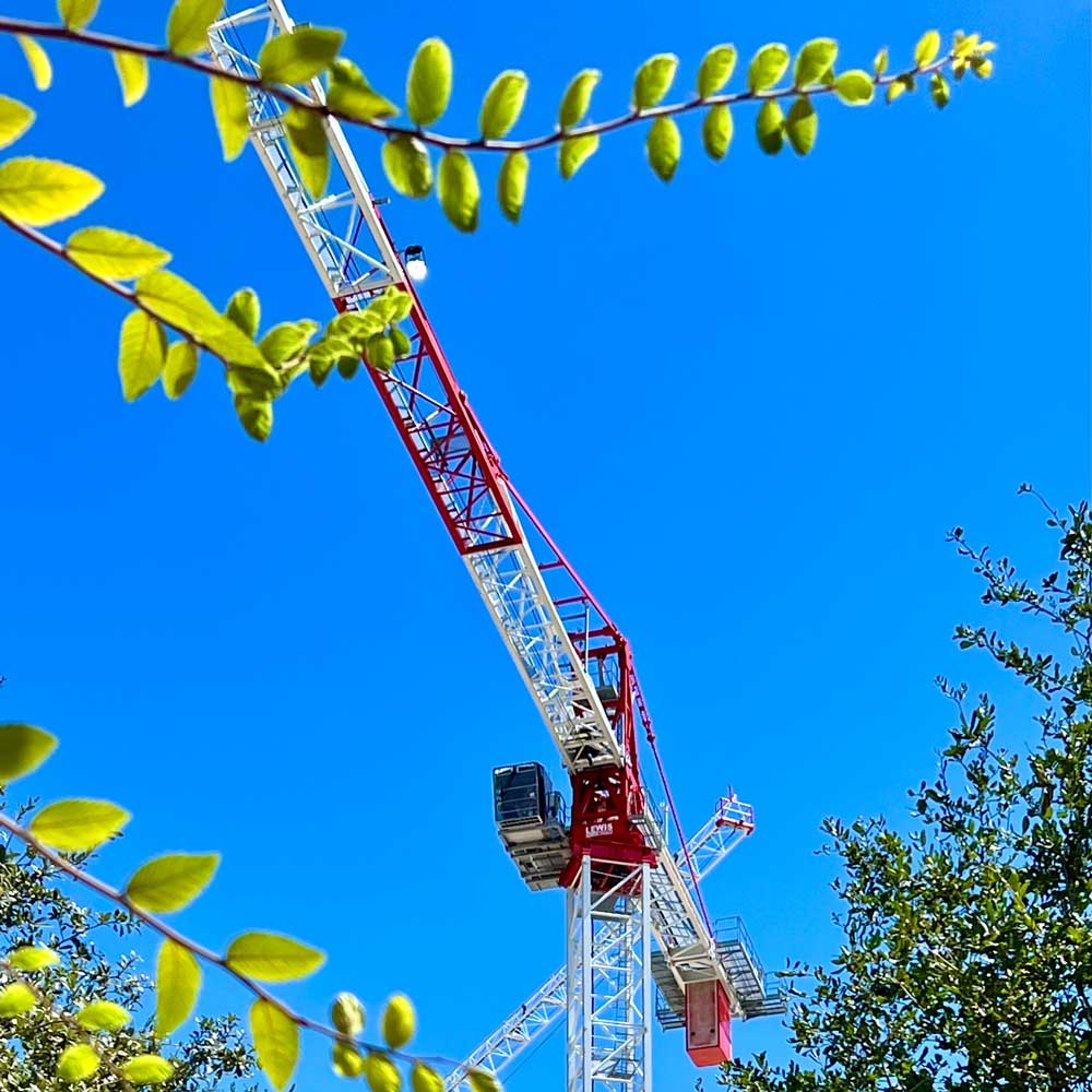 A pair of large construction cranes seen from below through tree branches.