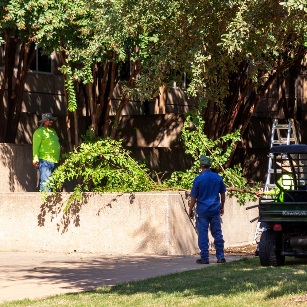 Various pieces of construction equipment move dirt near a large hole at worksite fenced off from a parking lot and a wall of trees.